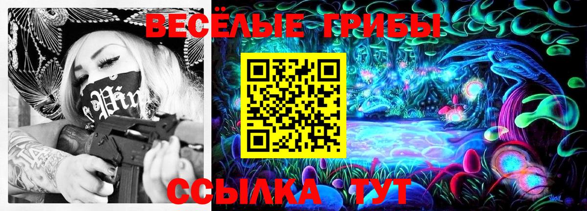 Галлюциногенные грибы прущие грибы Заводоуковск