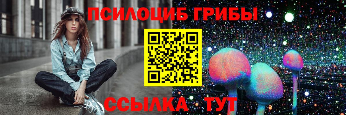 Галлюциногенные грибы мицелий  Вход с VPN  Заводоуковск 